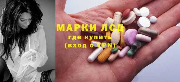 стафф Козловка