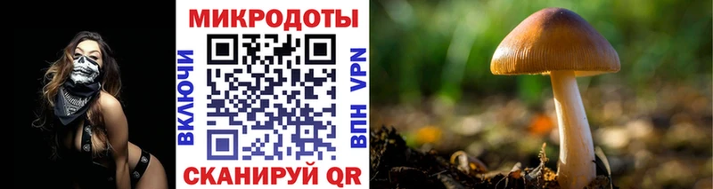 Купить закладки  Юхнов  Галлюциногенные грибы мухоморы 